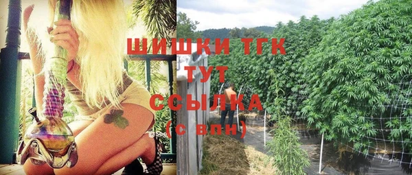 мет Елабуга