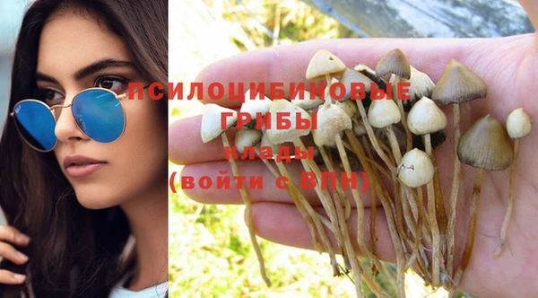 мет Елабуга