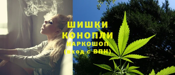 мдма Ельня