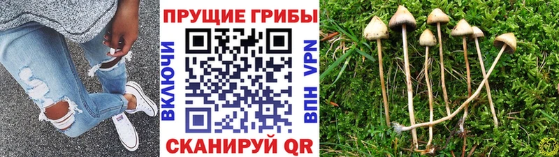 Галлюциногенные грибы ЛСД  Купить где  Тобольск 